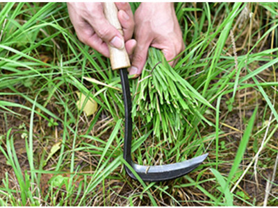 迷你版小割草小草手工小割刀割韭菜挑草野菜割荠镰刀