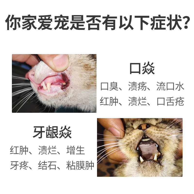 猫咪口炎药喷剂口腔消炎宠口清牙龈红肿流口水口臭喷雾清洁肉芽肿