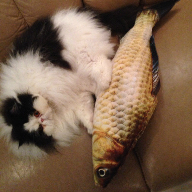 玩具猫薄荷逗猫鱼猫抱枕草鱼宠物仿真毛绒猫咪鱼猫抓板