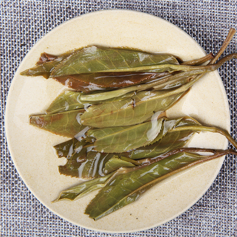 大白云南散装产地木芽乔木芽景谷散茶大芽头豪晒普洱