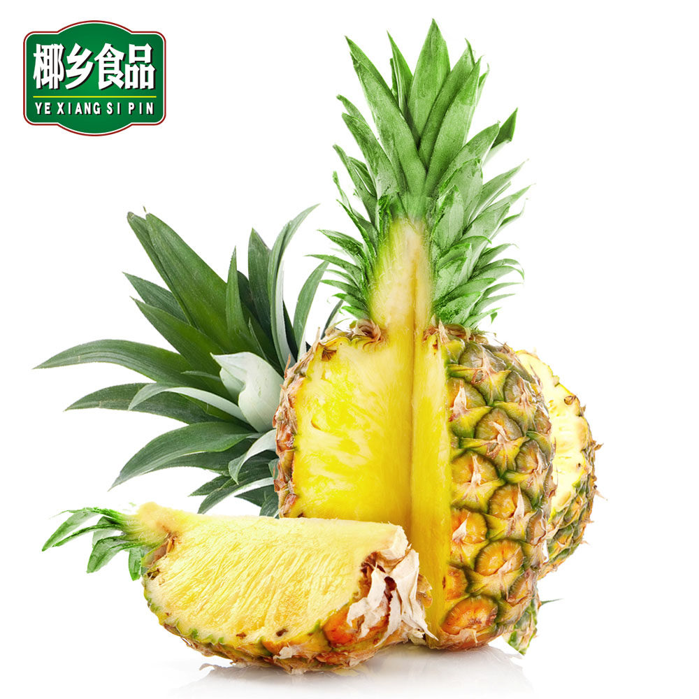 新鲜海南三亚凤梨水果小香香水菠萝无眼树上其它