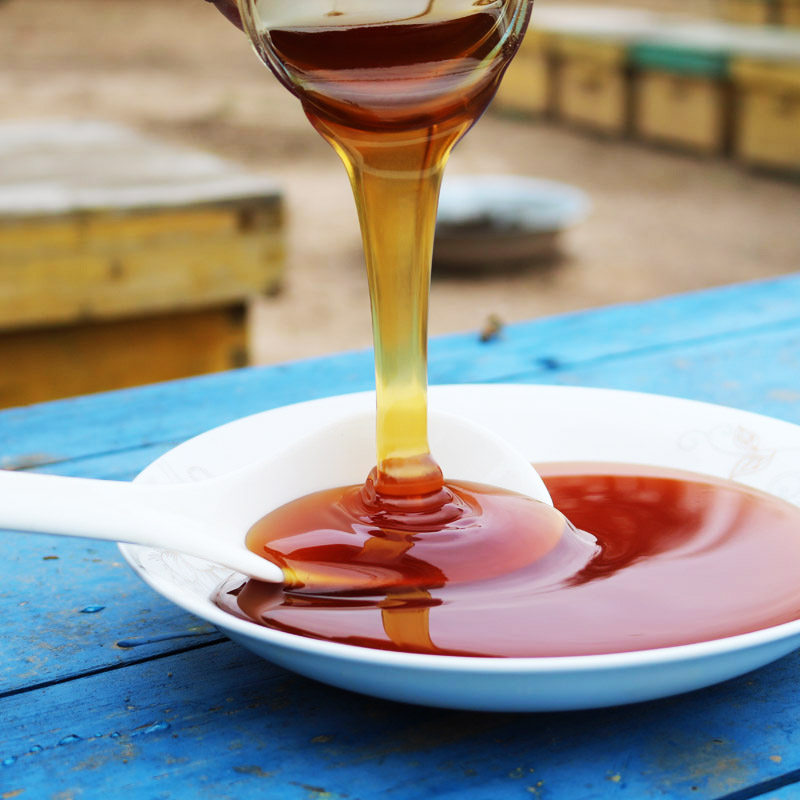 荞麦蜂蜜纯正天然农家自产原生态成熟百花野生蜂蜜