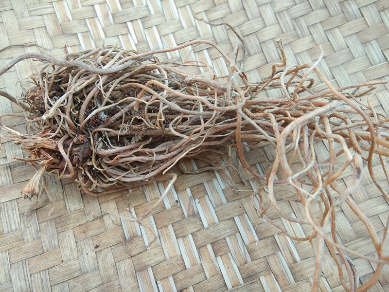 贵州万寿竹山竹倒竹铎草参宝竹叶新货包邮500g其他药食同源食品