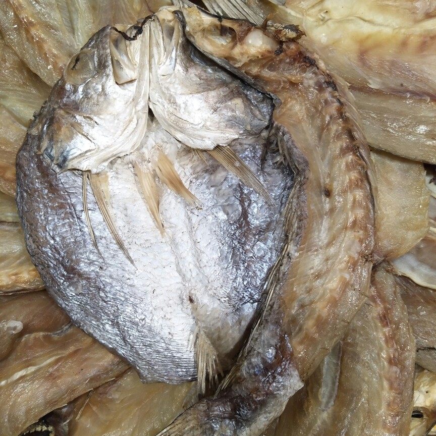 白鲞温州特产大黄鱼干货咸鱼干咸其它