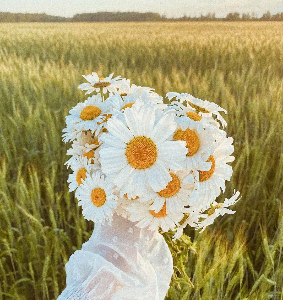 ins小雏菊小清新仿真手拿花束拍照道具假花绢花仿真花