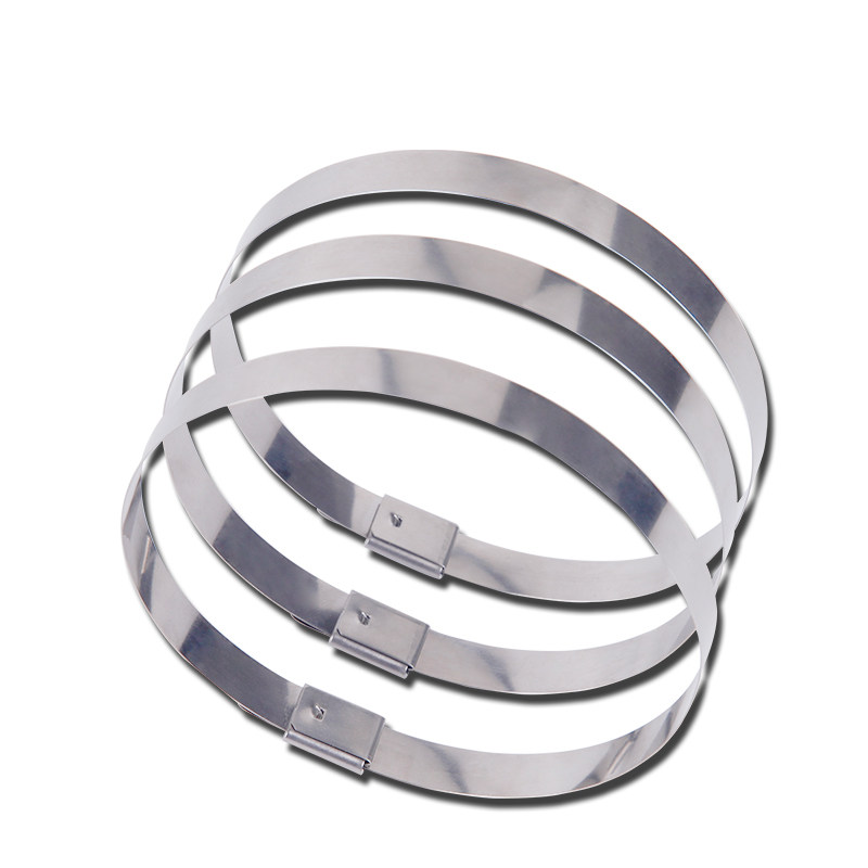 6 300船用扎带 金属扎带 钢扎带100条 201材质扎带卡 - 购吧网