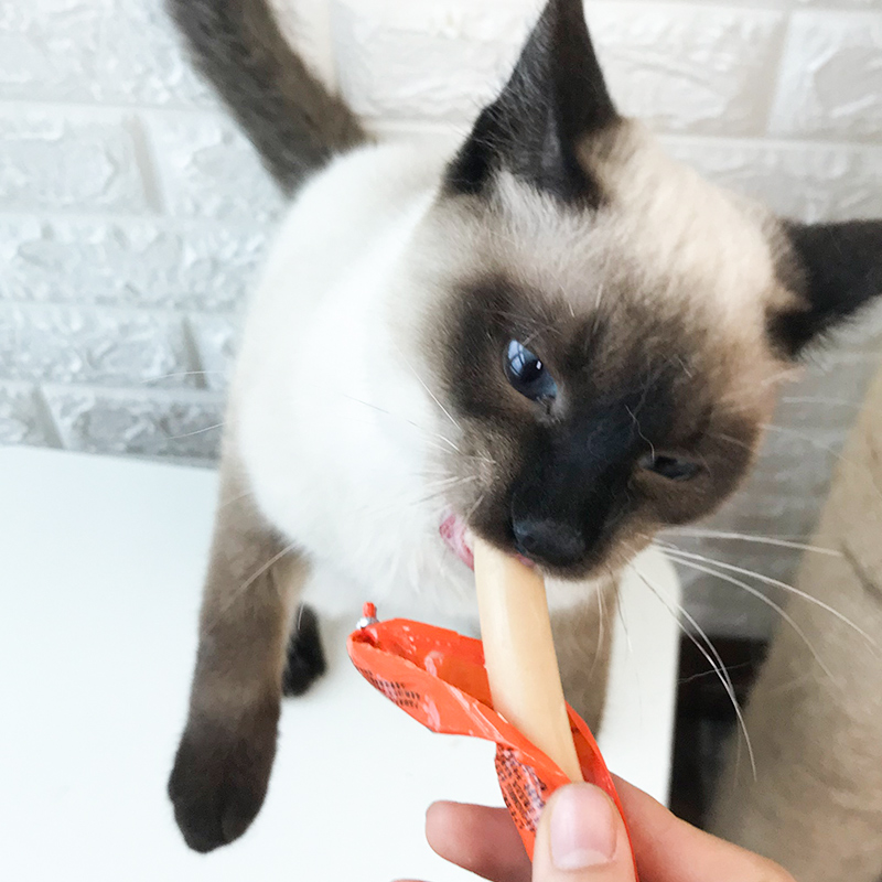 猫咪火腿肠30支零食幼猫成增肥补钙营养肉条狗狗猫零食罐