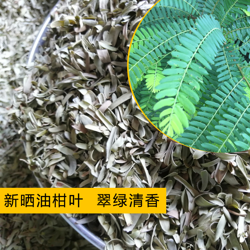 油柑叶牛甘叶清香凉枕头牛甘果叶茶牛甘子叶枕头叶油甘叶枕芯天然