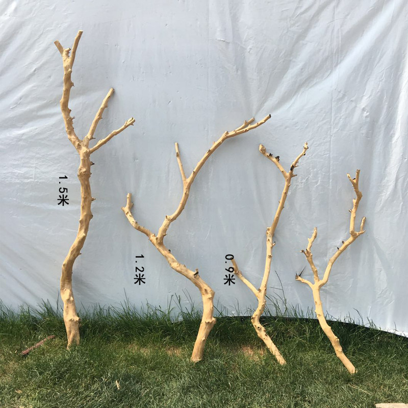 树枝原木去皮枯树树干衣架艺术造型干枝摆设干花