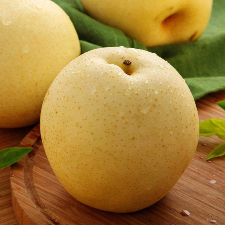 蜜梨3斤新鲜梨子农猫庄园深圳水果贡梨雪梨梨