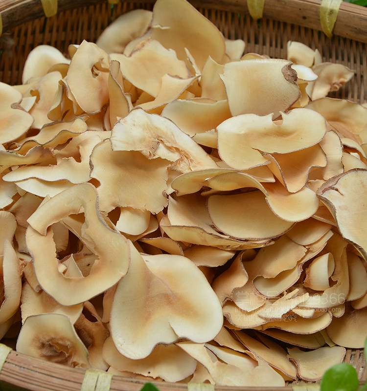煲汤广东干货海底椰片500g农家无硫椰子食材其他药食同源食品