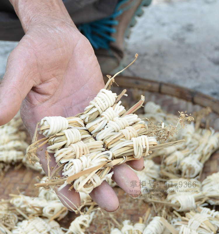 汤料灯心草煲200个儿童清火广东煲汤炖汤可配其他药食同源食品