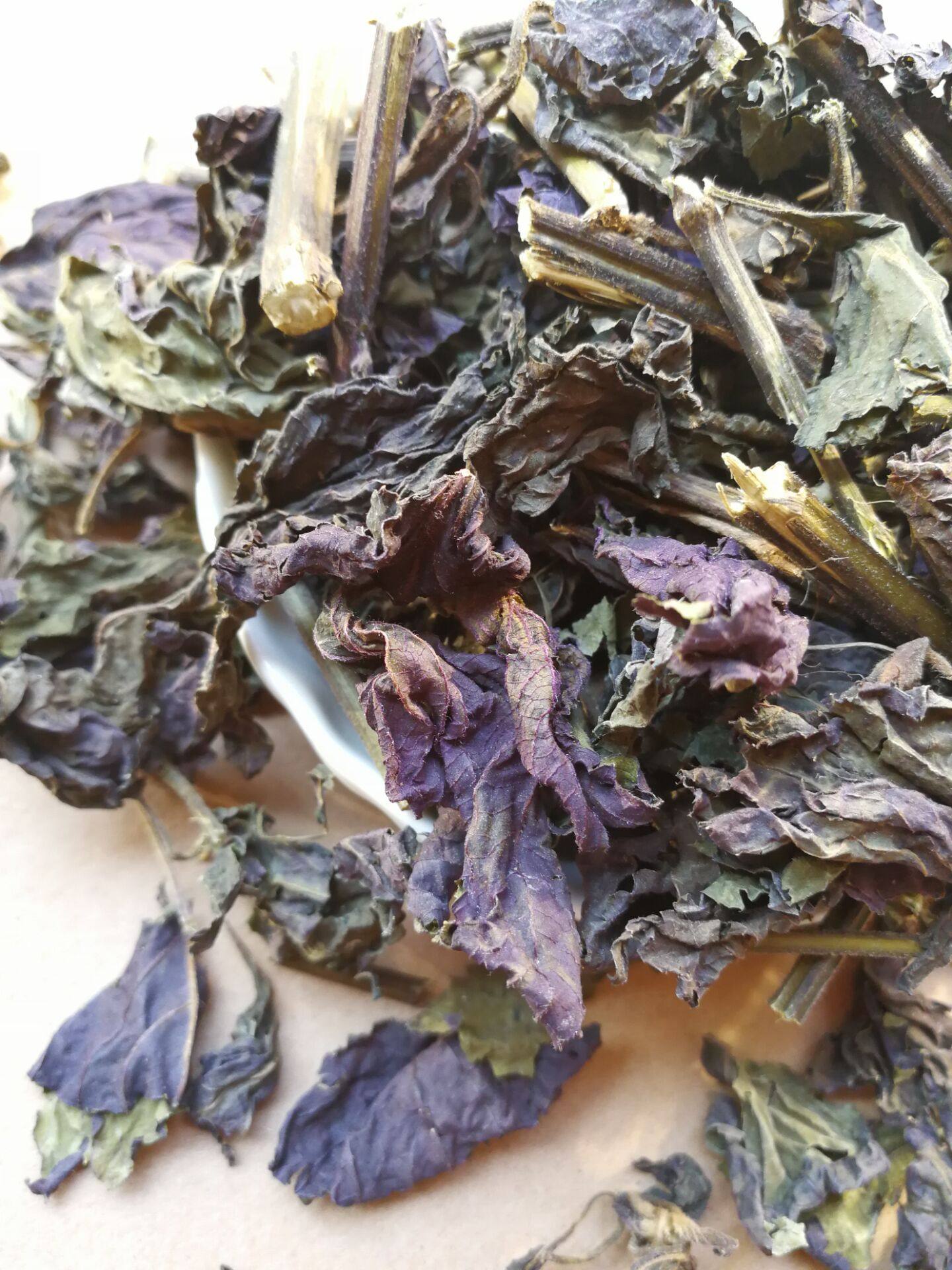 紫苏叶新鲜苏子叶子叶紫苏叶子中药材食用泡茶1斤传统滋补品其他