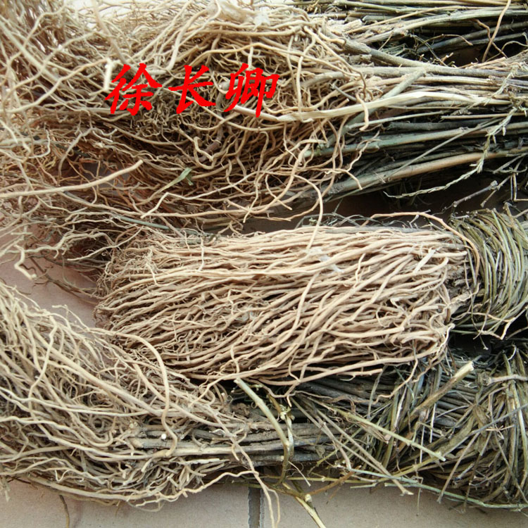 一枝香中药材 寮刁竹炖汤中草药逍遥竹中药徐长卿野生 500克包邮