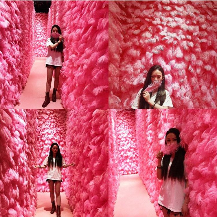 网红羽毛墙 粉色鸵鸟毛 拍照羽毛背景墙婚庆路引摆设装饰羽毛道具