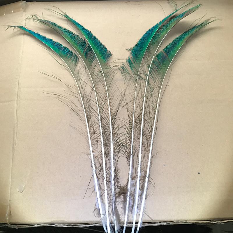 纯天然孔雀羽毛25-140cm大眼睛 居装饰摆件花瓶插花孔雀翎尾毛diy