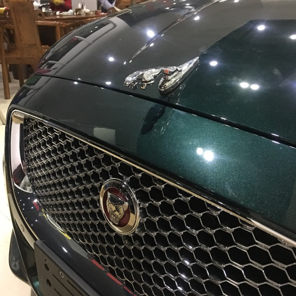捷豹车标金属标xf xfl xj xjl xel fpace改装机盖车头标原车立标