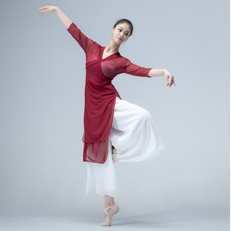 古典舞身韵纱飘逸民族汉唐演出服集训成人中国舞古典舞服