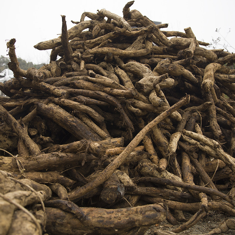 野生大葛根葛根粉葛根饼葛自产自销老柴真品葛粉天然葛根