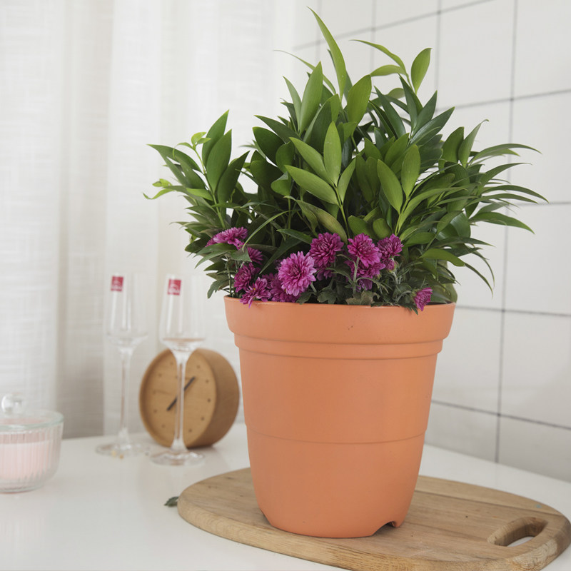 花盆花博士全新pp树脂材质小花圆形底部有孔花盆