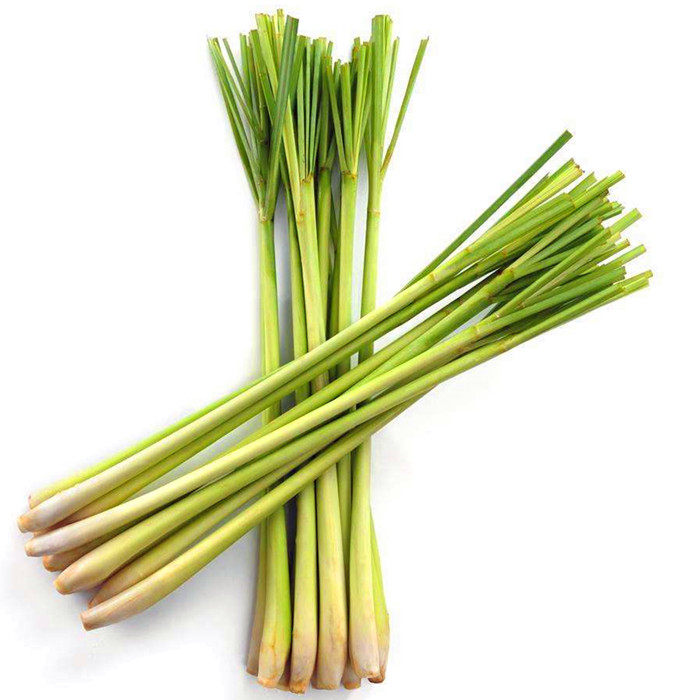 冬阴功汤料泰国进口材料新鲜香茅草 柠檬草柠檬香茅草 500克一斤