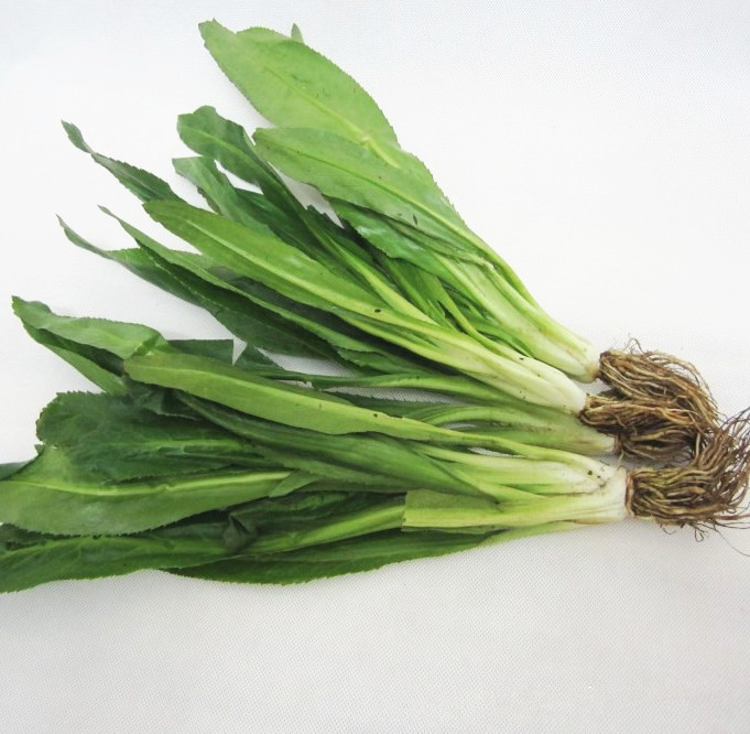 泰式新鲜芫茜刺芹泰国香菜食用芫西凉拌假芫其它