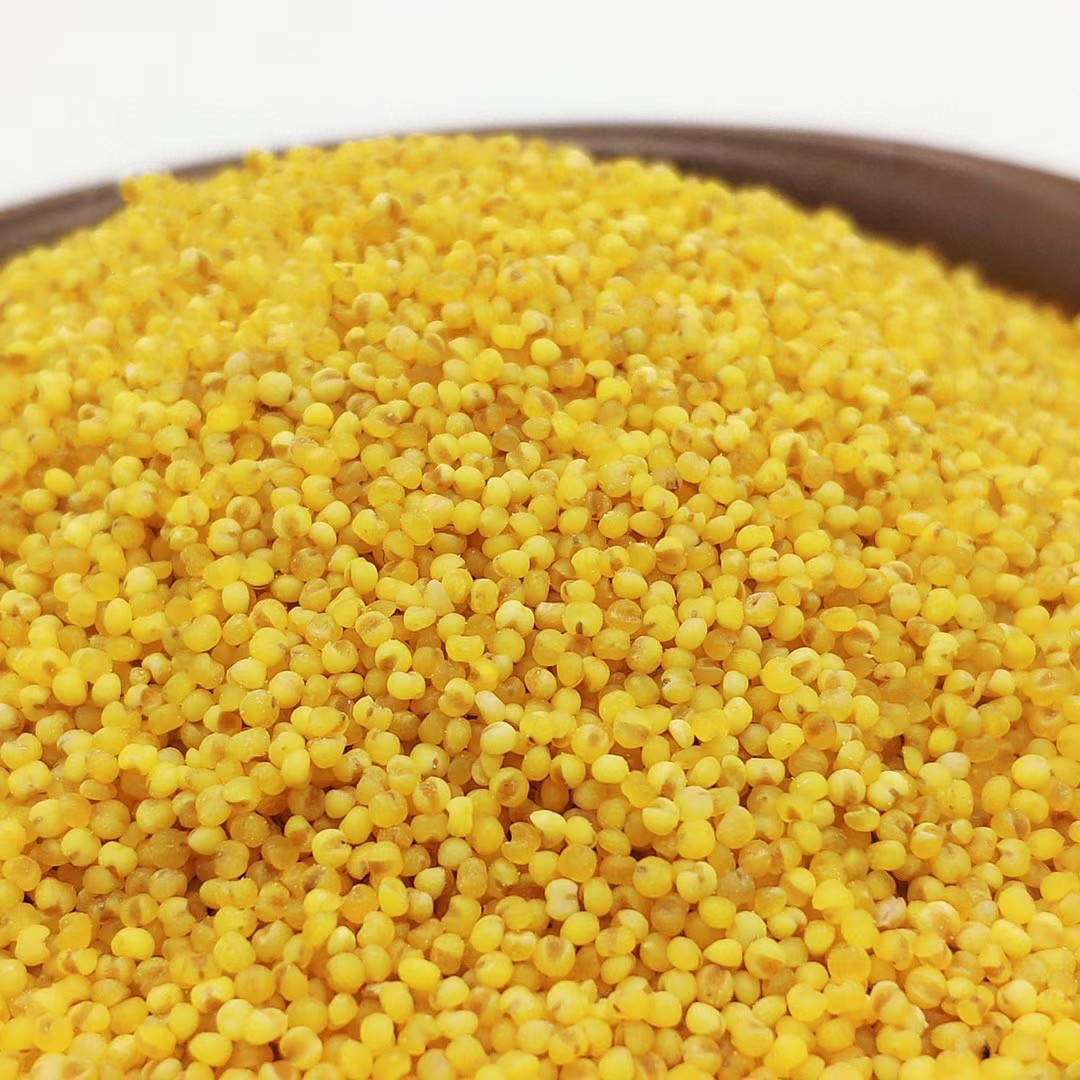小米米新米黄小黄新米富硒米小米粥米脂黄小米小米