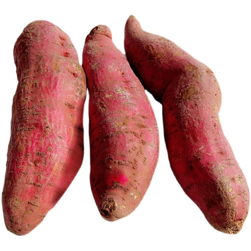 > > 西瓜红黄心红薯新鲜蜜薯糖心流油鲜生红著超甜沙宝紫薯5斤10斤