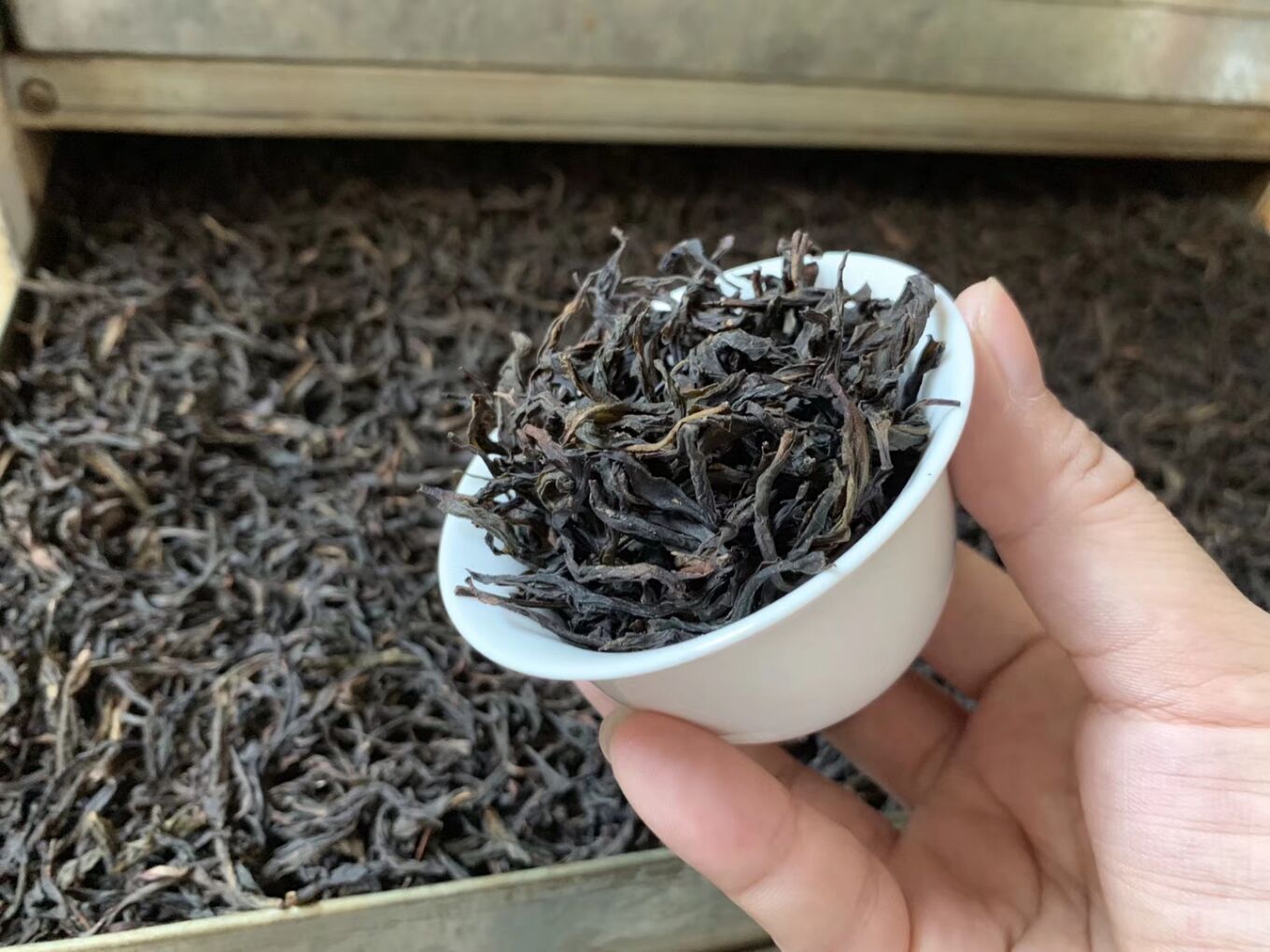 凤凰单枞茶蜜兰香雪片茶叶高山浓香香型白叶单凤凰单丛