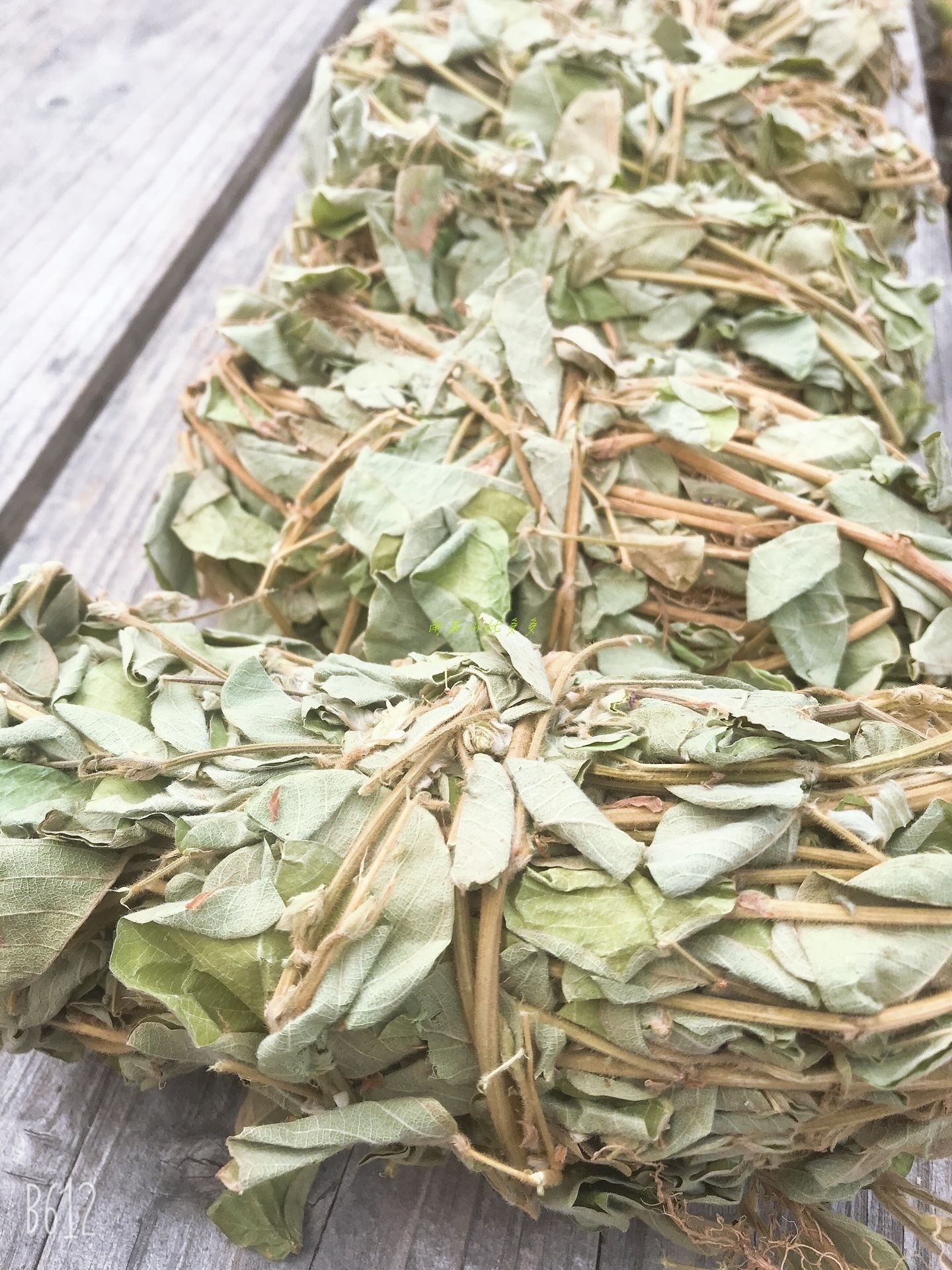 金钱南昆深山特级新鲜野生大叶草干天然草泡广金钱草