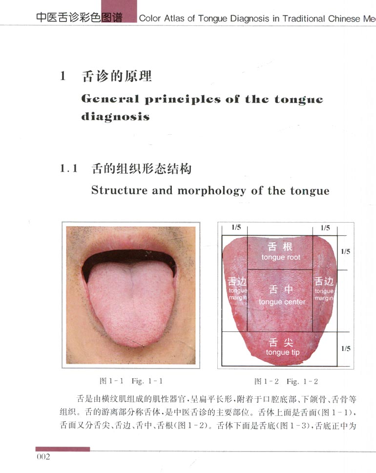 中医舌诊彩色图谱(汉英对照) 现代中医诊疗图谱 许家佗 著 上海中医药