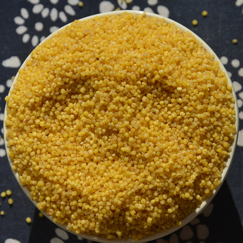 黄小米粥新米小黄米山山西特产5斤小米米子小米