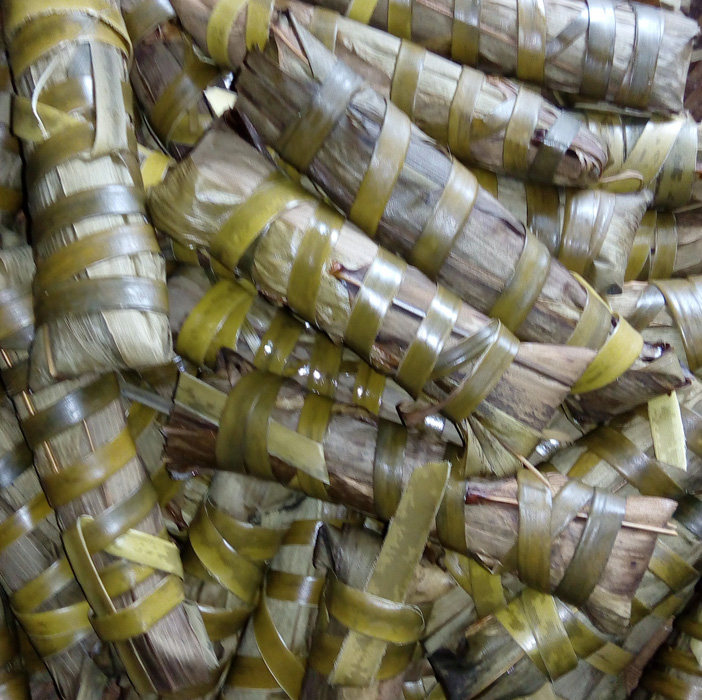 高州粤西粽子榣柱虾米香菇蛋黄海味10条五花粽子