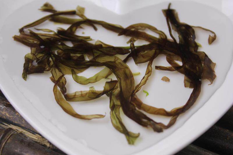 2018苍南新头水紫菜特级野生免洗干货紫菜无沙100克紫菜汤包邮