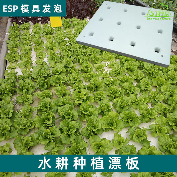 种植专用用水漂浮无土栽培eps鱼塘水池种菜泡沫其它园艺用品
