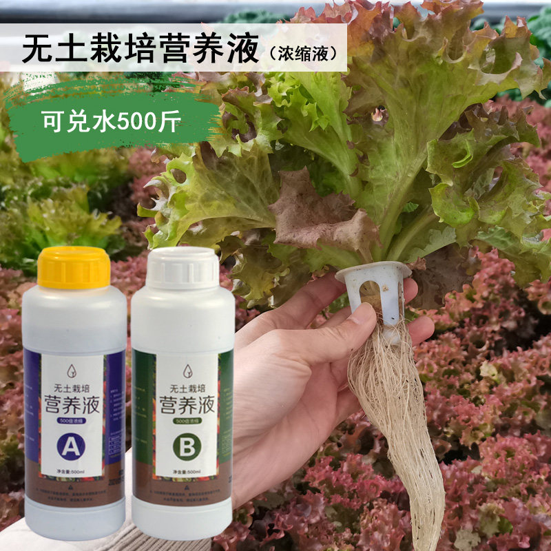营养液水培蔬菜浓缩无土栽培生菜瓜果草莓通用型专用介质