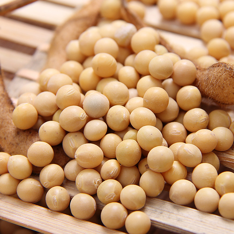 黄豆郭家铺子小黄豆芽豆浆农家粗粮9袋包邮黄豆