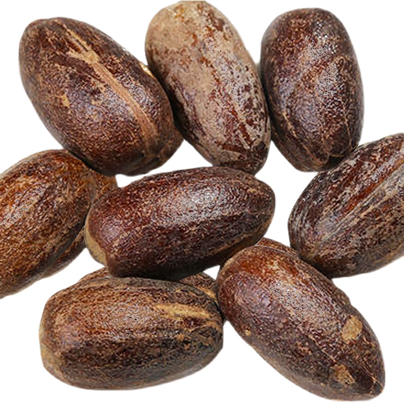 香料大全香果100克川菜烧菜炖菜卤菜汤料火锅花椒