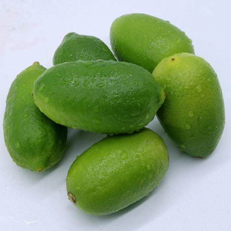 海南香水无籽青柠檬苦水果茶切片专用新鲜水果柠檬