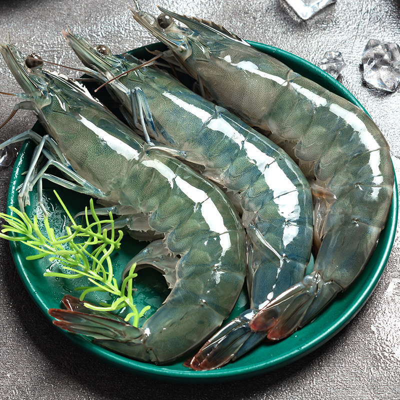 水产大虾青岛鲜活海鲜超大新鲜青虾对虾海虾冻虾