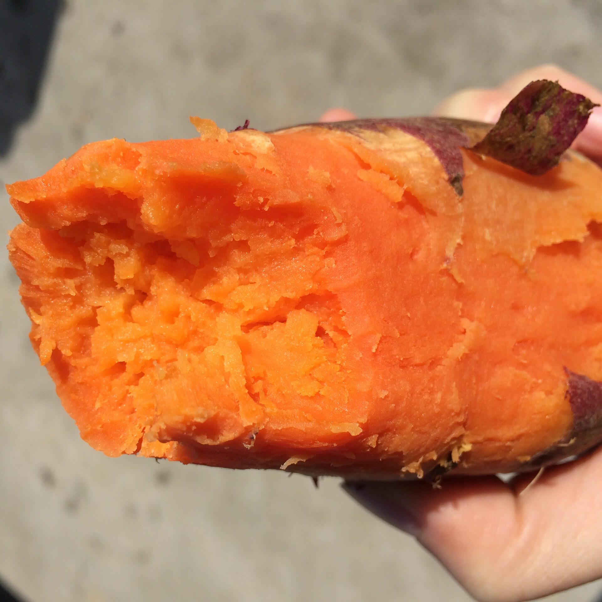 新鲜地瓜红薯烟薯红蜜薯署沙地红心小番薯农家番薯