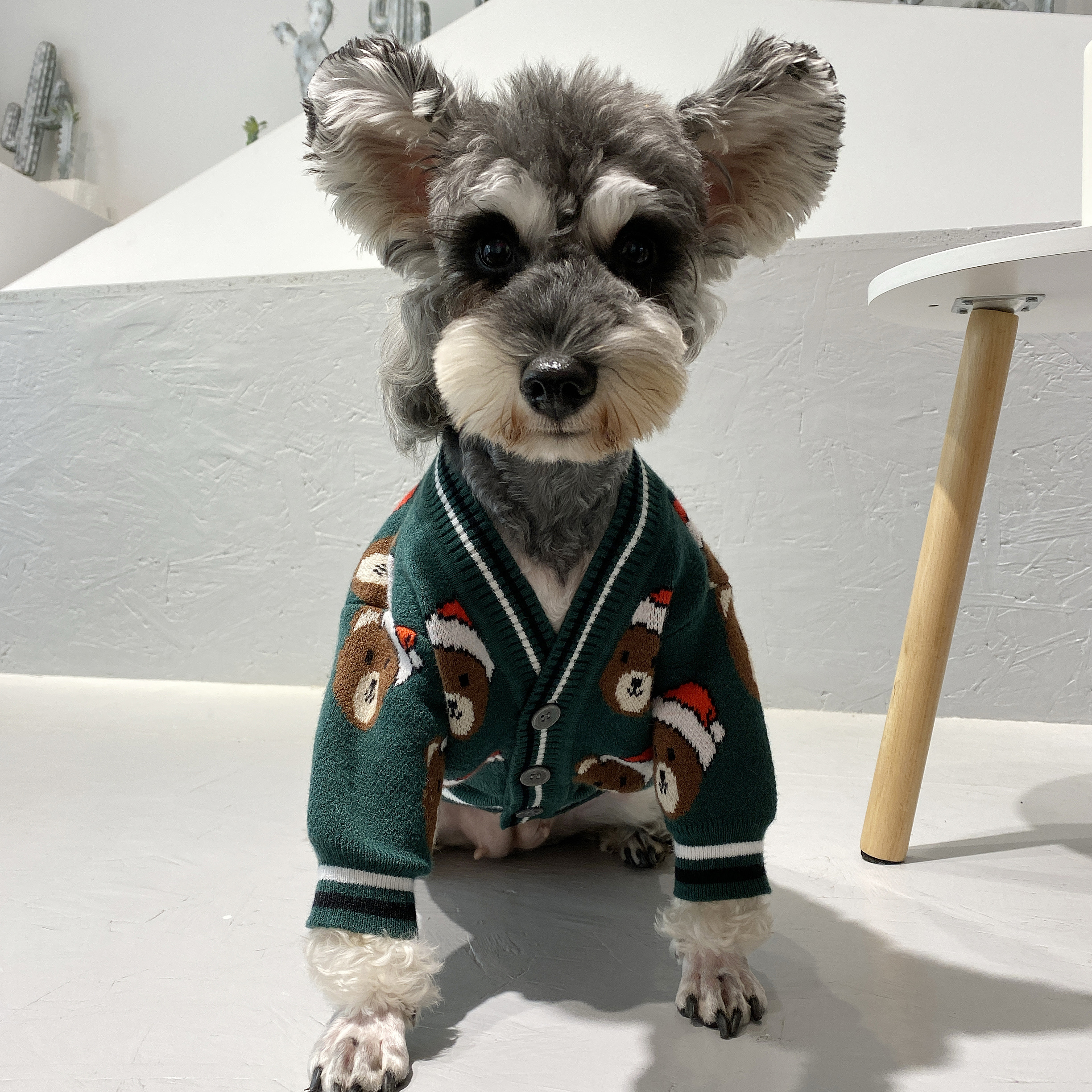 雪纳瑞斗牛巴哥犬圣诞节猫咪小狗法斗宠物衣服秋冬潮牌小熊毛衣