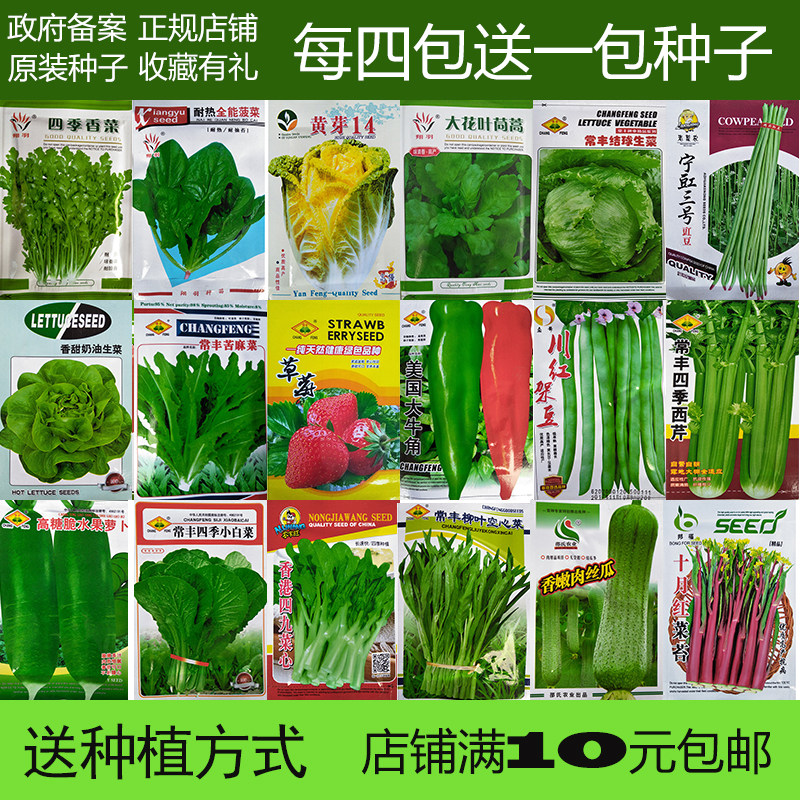 蔬菜种子青菜香菜小香葱菠菜油麦菜白菜夏季阳台庭院盆栽绿植原装