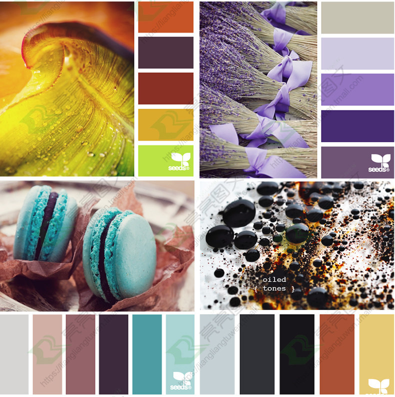 ps配色方案素材色彩搭配色版色卡春夏秋冬动植物设计素材