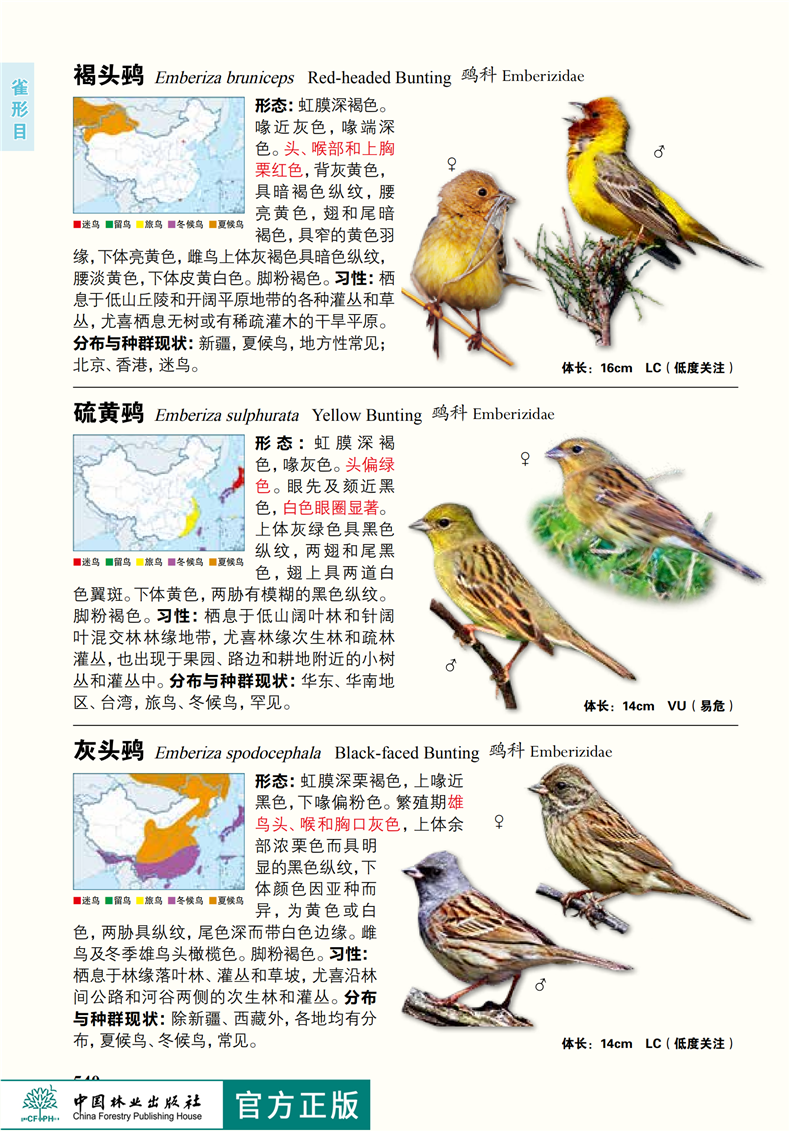 东北鸟类大图鉴书籍图片