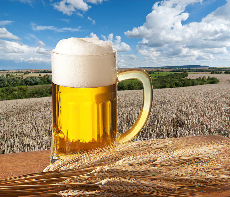 啤酒原料帝伯仕自酿套餐德式小麦艾尔世涛ipa滤酒器