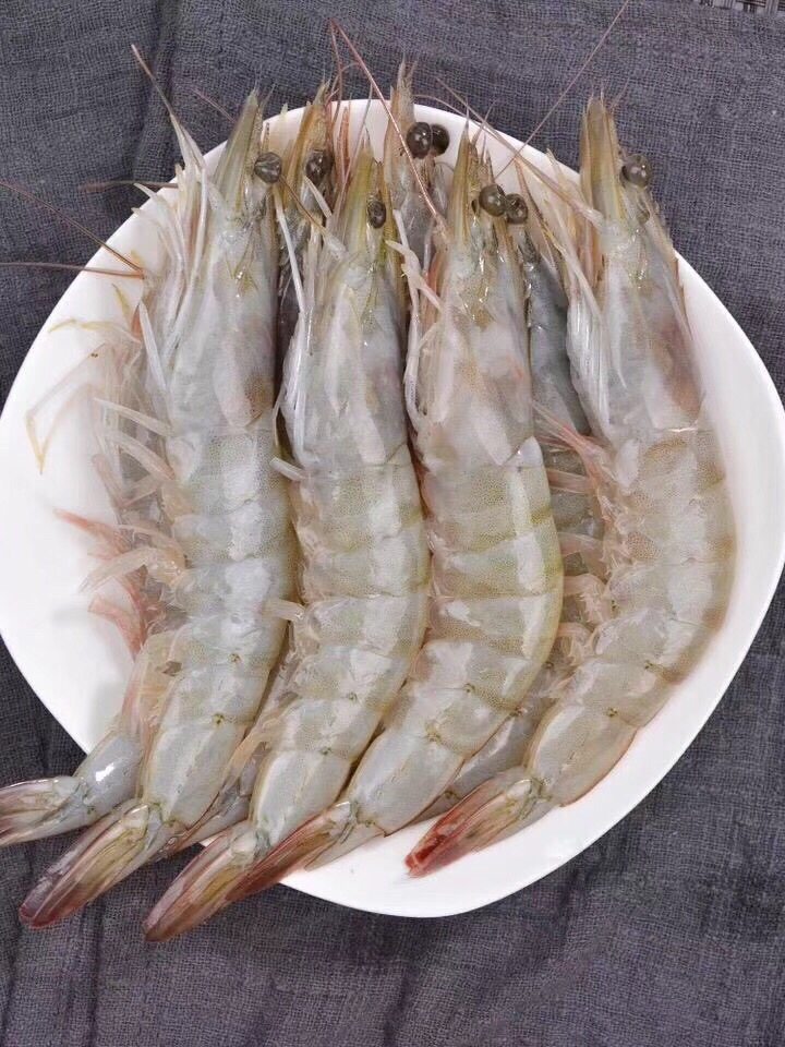 大虾青岛对虾海虾青虾基围虾单冻虾海鲜水产冻虾