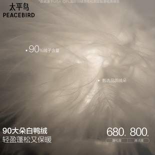 太平鸟男装 夹克羽绒服男2025冬季新款暗纹老花防寒翻领保暖外套