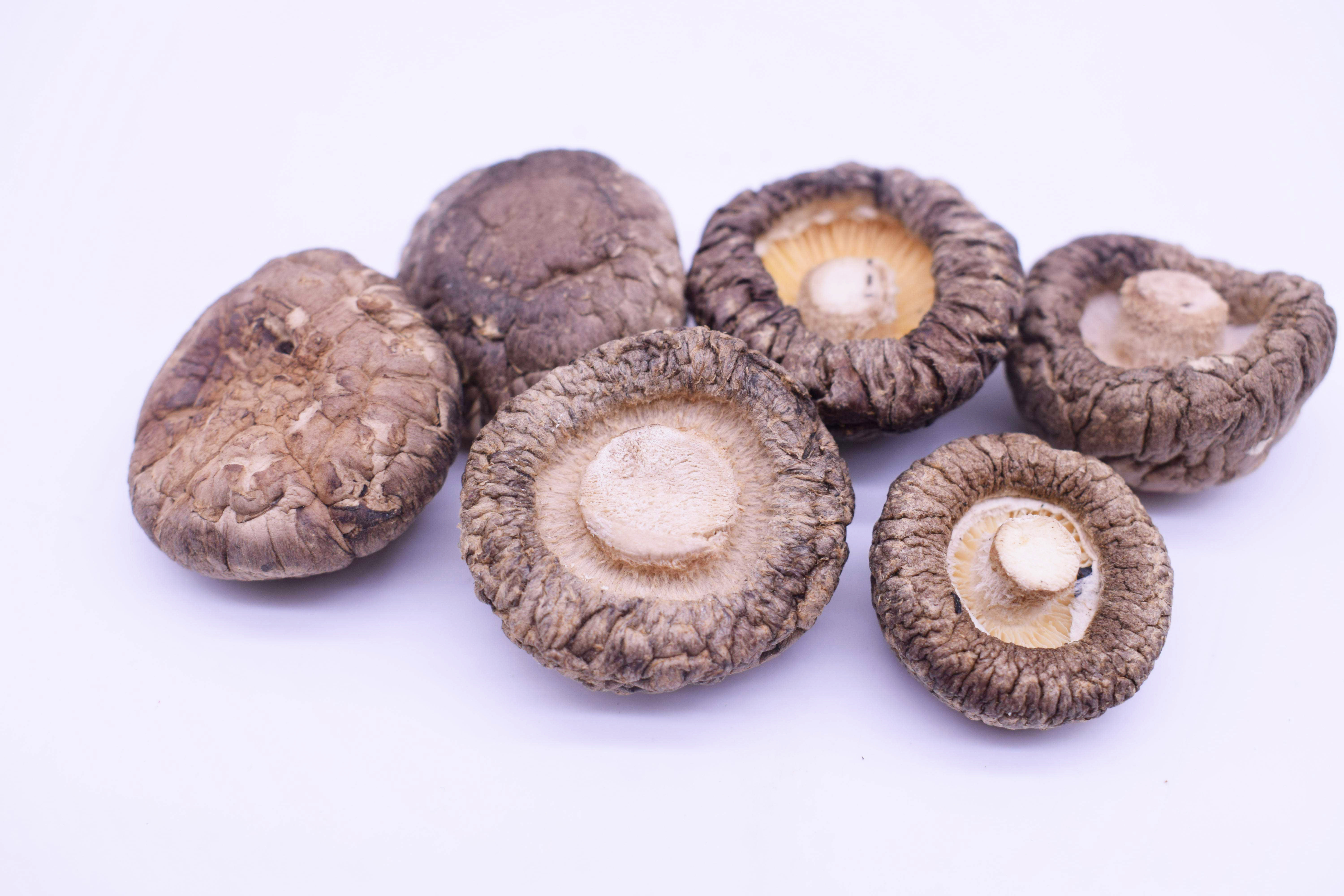 香菇小香干货250g肉厚冬菇菇农家用新货东北香菇类