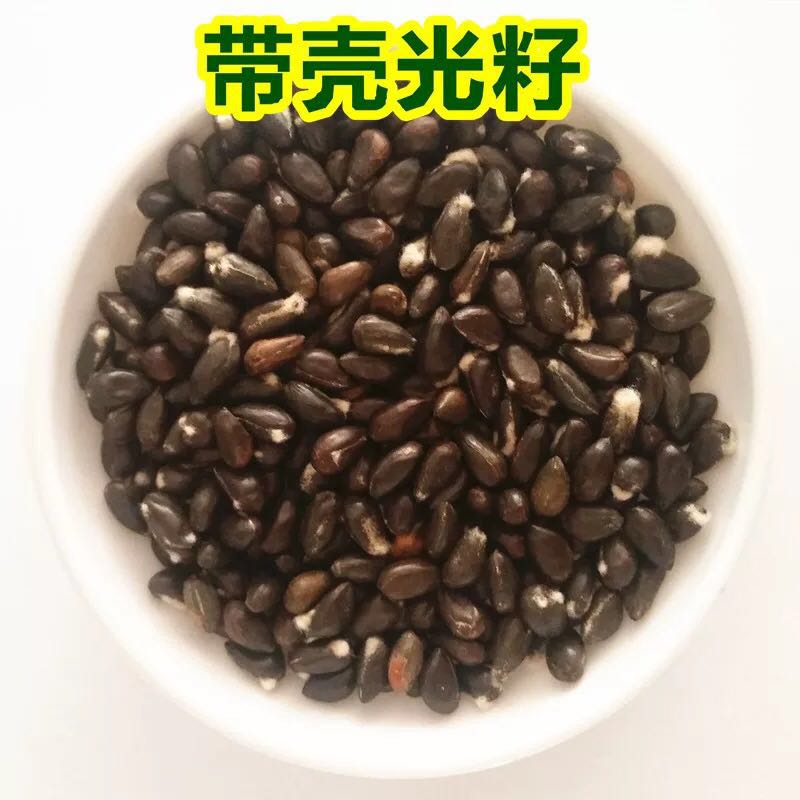 棉花棉籽籽棉花子去壳种子家庭园艺种子